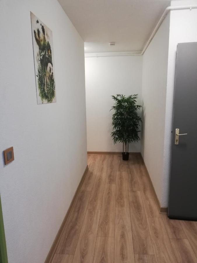 Grand T3 Avec Clim, Parking Et Terrasse Privative - Agen Apartment Ngoại thất bức ảnh